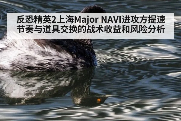 反恐精英2上海Major NAVI进攻方提速节奏与道具交换的战术收益和风险分析